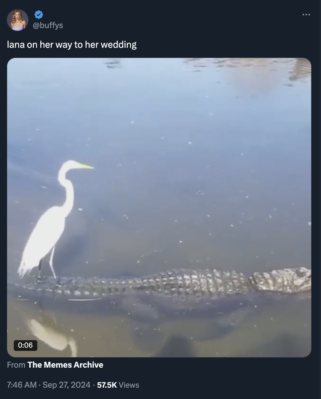 great egret - lana on her way to her wedding From The Memes Archive Views